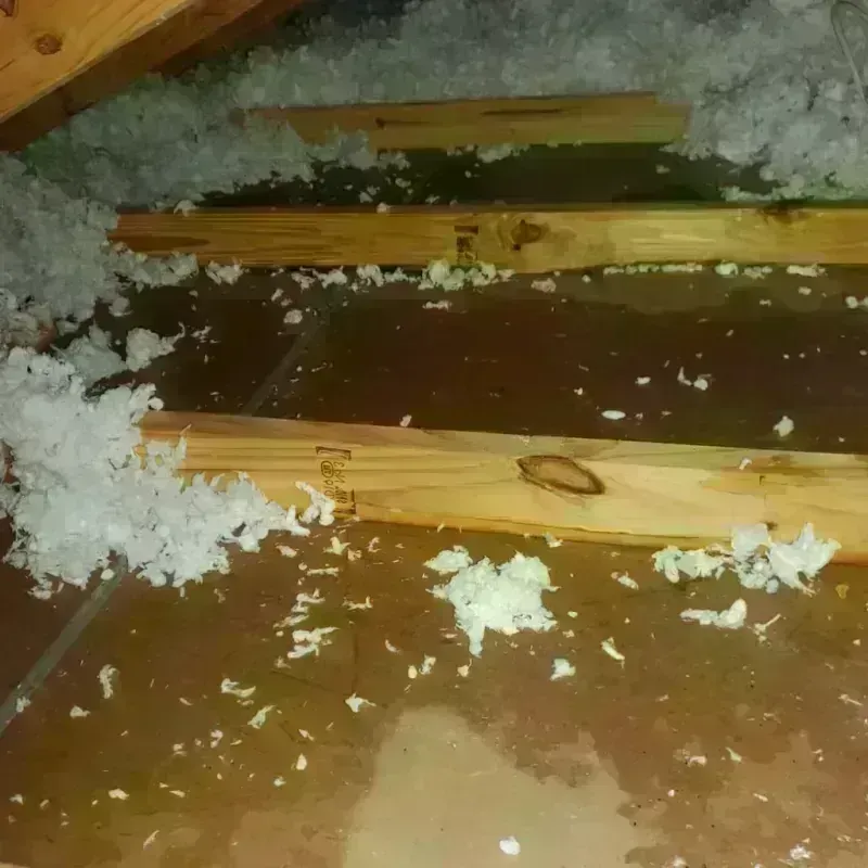 Attic Water Damage in Sylva, NC